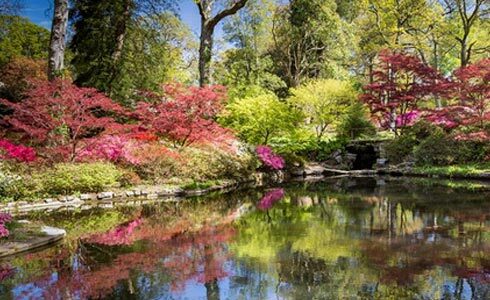 Whats On - Exbury Gardens